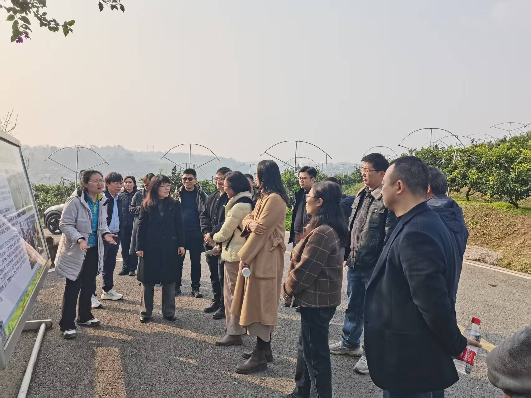 6ee81ea5b89739d55684597c18230aa4